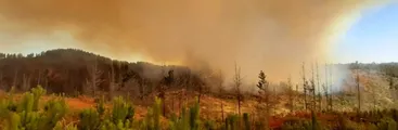 Valparaíso y Viña del Mar en Alerta Roja por incendio forestal en Placilla