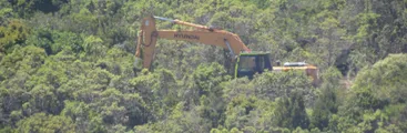 A precios millonarios venden Santuario de la Naturaleza Península de Hualpén