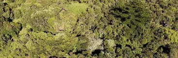 Por una planificación urbana desde los territorios y para el Buen Vivir: No al PRMC y su 11ª modificación