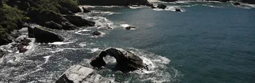 Santuario de la Naturaleza de Hualpén en Peligro: Concejo Municipal rechaza todas las observaciones ciudadanas para resguardarlo