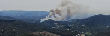 Incendio forestal en Nacimiento:  solicitan apoyo a equipos de emergencia a nivel regional