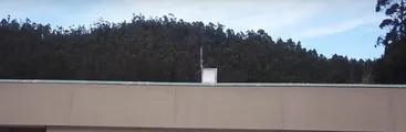 Estudiantes de la Facultad de Ciencias Forestales de la UdeC denuncian falta de democracia en elecciones de decanatura