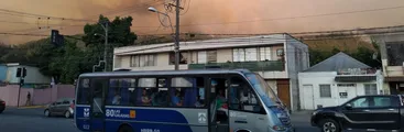 Incendio Forestal afecta al Cerro Manquimávida de Chiguayante generando preocupación por viviendas cercanas
