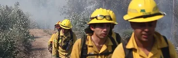 Bajo duras condiciones y con implementación precaria: brigadistas y bomberos combaten el incendio forestal en Nonguén