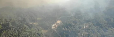 Incendio forestal en Nonguén alcanzó parte baja de fundo El Salto amenazando viviendas