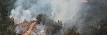 VIDEO: Vecinos/as y Asamblea Territorial Nonguenche ante incendios en Reserva Nonguén