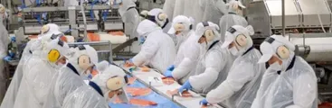 Confirmado primer caso de COVID-19 en planta Salmones Blumar en Talcahuano