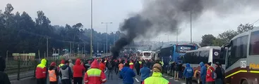 Trabajadores lograron suspender faenas del proyecto MAPA de Celulosa Arauco