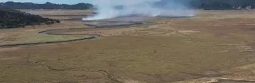 Megasequía: Incendio de plantaciones forestales se propagó nuevamente al humedal más grande del Biobío