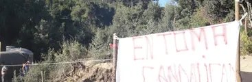 Pobladores/as se toman terrenos de Forestal Arauco en Laraquete