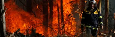 Alcaldesa de Molina por megaincendio forestal: hacemos un llamado al Estado para que se generen políticas sustentables, que no impliquen seguir destruyendo nuestro ecosistema