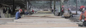 Maderas Arauco debe cesar faenas y pagar salarios sin descuentos, determina juzgado penquista
