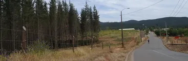 La escasez hídrica y el mundo rural ¿Existen posibilidades de respuestas comunitarias frente a la crisis?