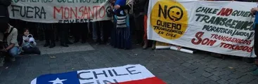 En secreto SAG cocina nueva regulación sobre transgénicos: incluirá los OGMs “made in Chile”