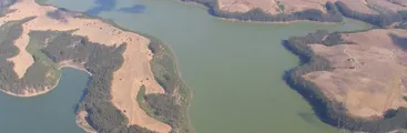 Cambios de uso de suelo y expansión de plantaciones forestales alteraron ciclo del nitrógeno en la Cordillera de la Costa