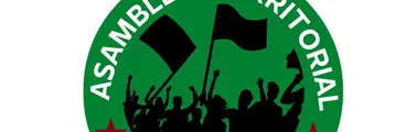 Asamblea Terrritorial Sector Sur de Villa Alemana denuncia golpiza de vecino, presuntamente por policías