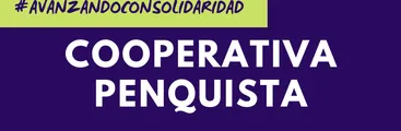 Solidaridad en tiempos de pandemia: en Concepción levantan cooperativa de abastecimiento