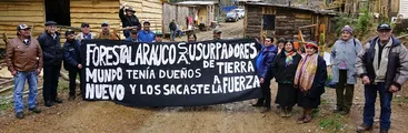 Las familias que acusan a Forestal Arauco de quemarles sus campos, casas y el bosque nativo: El caso de Mundo Nuevo en Curanilahue