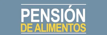Una breve guía paso a paso: ¿Cómo solicitar el pago de pensión alimenticia a través del 10%?