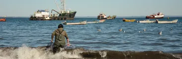 Mujeres del Mar: Memorias del oficio pesquero-artesanal en caletas del Gran Concepción