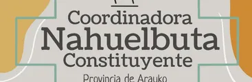 Nahuelbuta Constituyente: Se articula coordinadora provincial en torno al APRUEBO en la provincia de Arauco