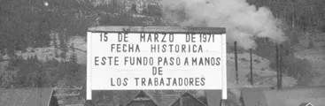 Hoy se cumplen 50 años de la creación del Complejo Forestal Maderero Panguipulli