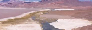 Comisión de Evaluación Ambiental de Atacama rechazó proyecto minero a tajo abierto Fénix Gold en cerro Maricunga