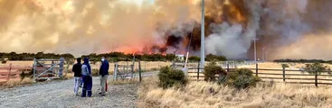 Voraz incendio forestal comenzó en recinto militar en Puerto Natales
