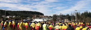 Intransigencia de Arauco: Trabajadores de la Federación Forestal Rodrigo Cisterna exigen bonificación para apoyo económico de subcontratados