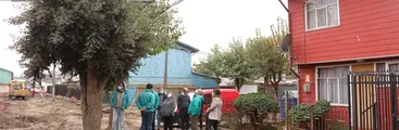 Municipalidad de Talcahuano sacará árbol defendido por adulta mayor