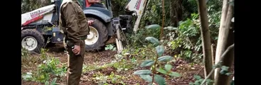 Denuncian que empresas Eltit sigue destruyendo bosque nativo en Pucón pese a que no cuenta con permisos legales