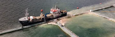 Nuevas floraciones algales nocivas y gran mortalidad en industria salmonera pueden causar graves impactos en el mar austral