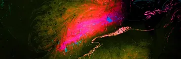 Minima será parte de exposición en Galería de Artes Visuales en Córdoba