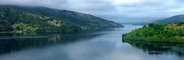 Comunicado de los Lov y comunidades en resistencia de la franja lavkenche