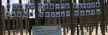 Caso Paine y San Javier: Establecen condenas en causas de violación a los DD.HH. en dictadura