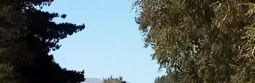 Vecinas/os de Rucalhue protestan por ruidos molestos y levantamiento de polvo: Apuntan a responsabilidad de empresa de frutos secos