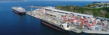 Unión Portuaria acusa desinterés total en controlar la circulación de drogas en terminales marítimos
