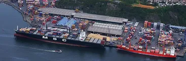 Portuarios de San Vicente paralizan exigiendo mejoras en políticas de protección durante la pandemia
