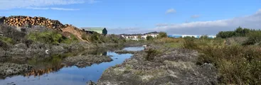 Vecinos/as de Talcahuano denunciaron destrucción de área protegida en canal Ifarle de Brisas del Sol
