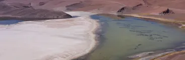 Tras fallo de la Corte Suprema: SEA anula Permiso Ambiental y ordena consulta indígena en proyecto de litio de Grupo Errázuriz en el Salar de Maricunga
