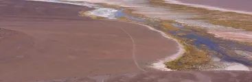Alertan sobre proyecto de mina a tajo abierto Fénix Gold que amenaza Salar de Maricunga en la región de Atacama