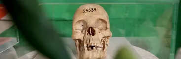 Alemania reconoce el genocidio colonial que perpetró en África