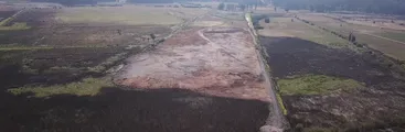 Estudio PRAS alerta grave degradación de Humedal Calabozo en Coronel, el más extenso de la comuna