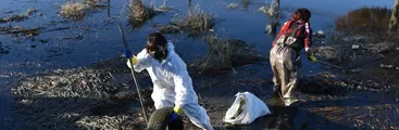 Canal Ifarle: Destrucción de sitio prioritario en Talcahuano sigue sin tener responsables claros