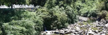 Vecinos/as de Quilleco acusan décadas de contaminación al estero Pichicoreo por faena acuícola de empresa Sur Inversiones
