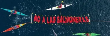 Inédito: Argentina prohibió la cría de salmones en Tierra del Fuego