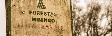 Más de un año preso y como prueba un pantalón: Absuelven a joven imputado por incendio al interior de predio de forestal Mininco en Mulchén