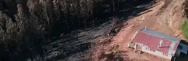 Urge debatir intereses de empresas forestales versus necesidades de comunidades rurales con respecto al agua y riesgo de megaincendios, apunta académico