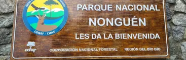 Centro de Información Ambiental: Amenaza grave para el Parque Nacional Nonguén