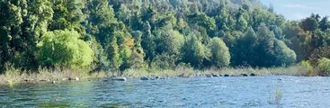 Nuevo triunfo de los territorios: Empresa desistió de instalar hidroeléctrica en río Huequecura